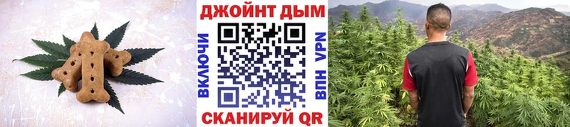 ОМГ ОМГ рабочий сайт  Жиздра  Canna-Cookies конопля 